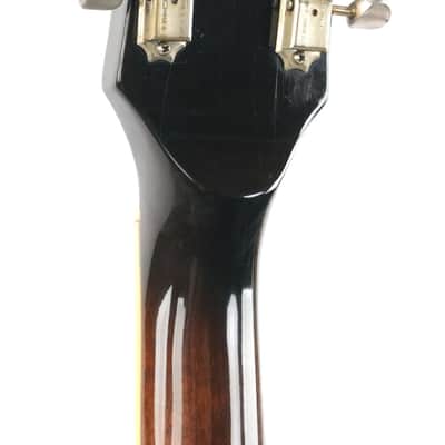 Gibson EDS 1275 Walnut 1974 image 8