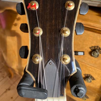 Eastman 905 2023 - Sunburst image 4