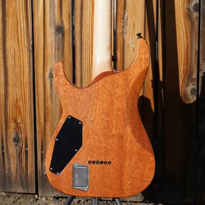 ESP USA Horizon-II Psychedelic Flame 6-String Electric Guitar w/ Black Tolex FF Case image 16