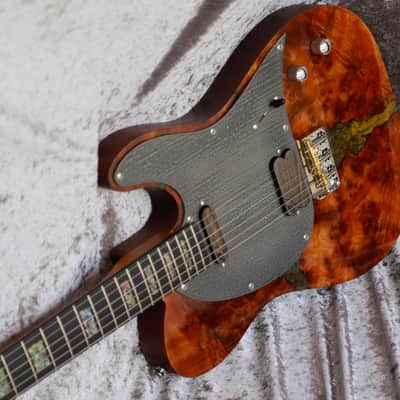Immagine GB Liuteria Traditional Tele walnuts burl and resin - 17