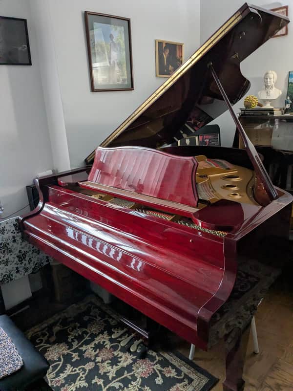 Otto Altenburg Grand Piano - Lacquered Bild 1