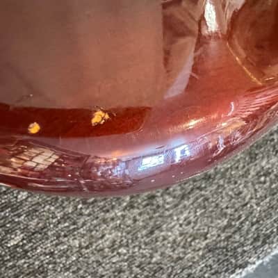 Fender Stratocaster Hardtail 1979 - Wine Red image 8