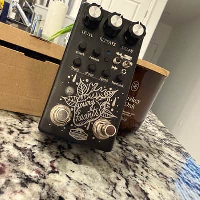 Polar Bear Effects Young Hearts Lo-Fi VCR Glitch Delay Pedal image 6
