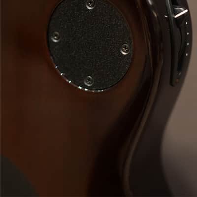 Taylor T5z Classic DLX 2017 image 16