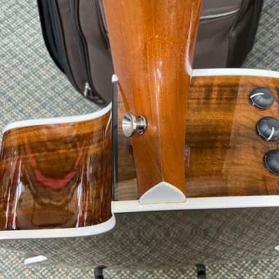 Taylor 214ce DLX 2018 image 11