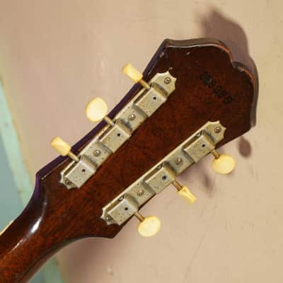 1967 Epiphone FT79 (Gibson) Texan Slope Dreadnought Guitar (VIDEO! Work Done, Ready) image 13