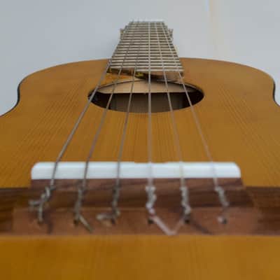 Yamaha Guitalele w/ pro LR Baggs FIVE.O Pickup - GL-1 6-String Ukulele image 15