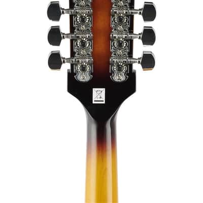 Washburn M1 Mandolin Pack with Gigbag image 7