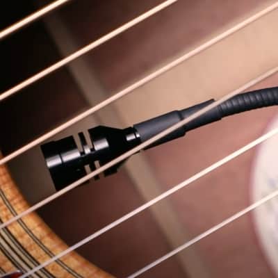 Fishman Rare Earth Mic Blend imagen 2