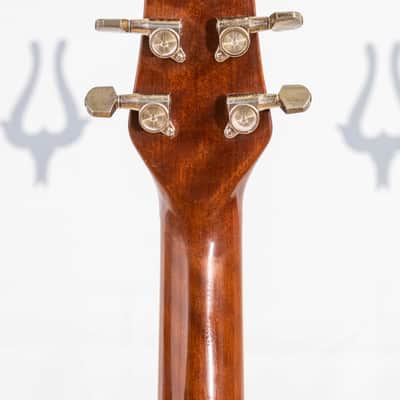 Daion B-55E Tobacco Sunburst "Snake Loaded" Japanese Market Model image 18
