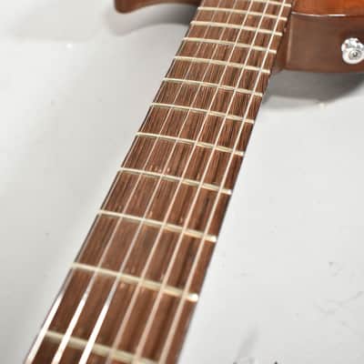 MAX Peter Max Baranet Les Paul Copy Natural Finish Electric Guitar w/HSC image 19