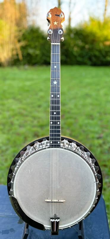 Vega Whyte Laydie Style R Tenor Banjo image 1