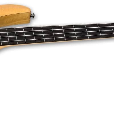 LTD LB204SMFLNS B-204SM FRETLESS Natural Satin NATURAL image 2