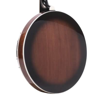 Mastertone™ IT-250F: Irish Tenor Banjo with Flange and Case image 9