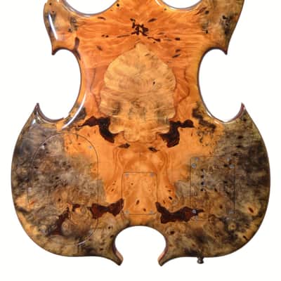 Alembic Signature Deluxe Series One 5 String Triple Omega Dark Buckeye Bass Guitar w/ OHSC - Used 20 image 6