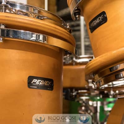 Peavey RBS-1 7-Piece Drum Set w/ Radial Pro 1000 8" Tom | 22/16/14/12/10/8/14SN image 5
