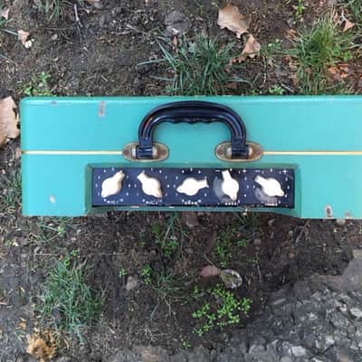 ELPICO AC55 , THE BEATLES AMP 1956 Green imagen 4