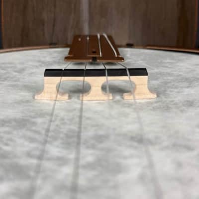 Custom Deering Artisan Goodtime 19-Fret Tenor Banjo image 14