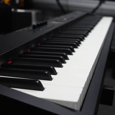Roland RD-08 88-Key Digital Stage Piano - (Used) image 11