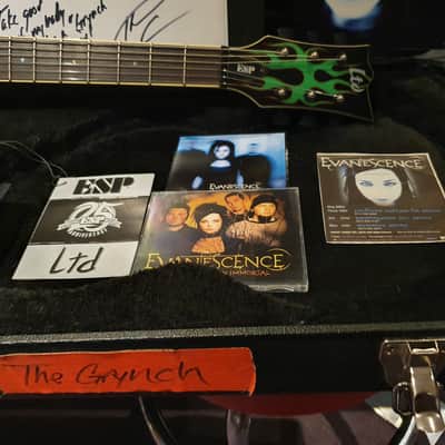 ESP Grynch owned by Evanescence in My Immortal video! LTD James Hetfield Custom Signature Guitar image 8