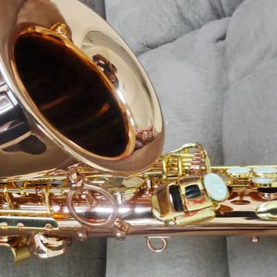 Monique Pro Series Alto Saxophone (SELMER/BUFFET CLONE) 1990s - Copper & Brass image 14