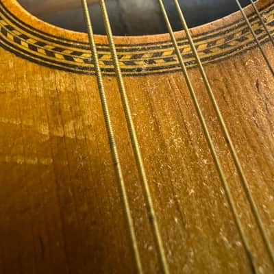 Martin Style B 1926 - Natural SR-11-102 image 2