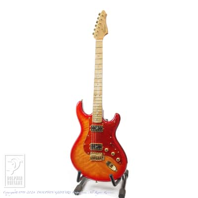 Ruokangas Guitars VSOP DX Birth Custom [Pre-Owned] image 2