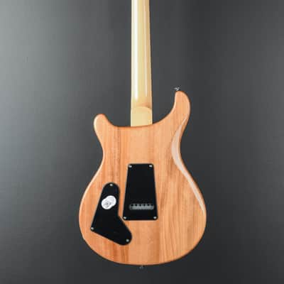 Paul Reed Smith SE Custom 22 Semi-Hollow '22 image 5