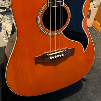 Eko Ranger 6 VR 2010s - Honey Burst image 7