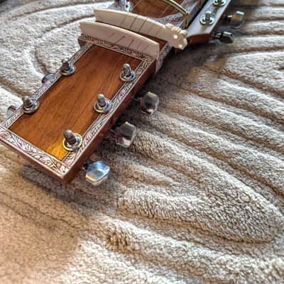 No Brand Electric Sitar, Ravi shankar style image 2