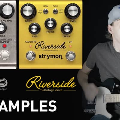 Strymon Riverside image 17