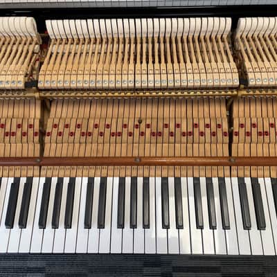 Steinway Model B 6'11" Grand Piano 1888 (Restored) - Satin Brazilian Rosewood image 18