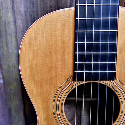 1915 Washburn Parlor Guitar image 5