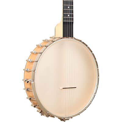 Gold Tone BC-350 Bob Carlin Banjo w/case image 1