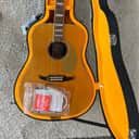Fender King Vintage, Ovangkol Fingerboard, Gold Pickguard, Aged Natural