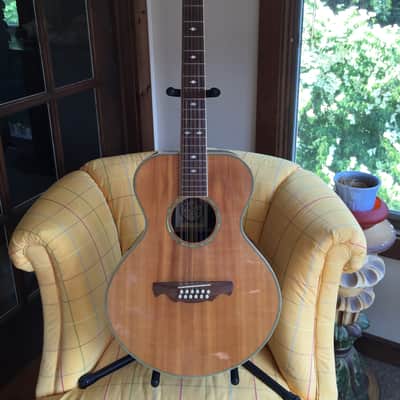 Alvarez 2551 12 String Limited Edition Silver Anniversary Model Gibson L-1 L-00 l-2 look-alike 5037 image 4