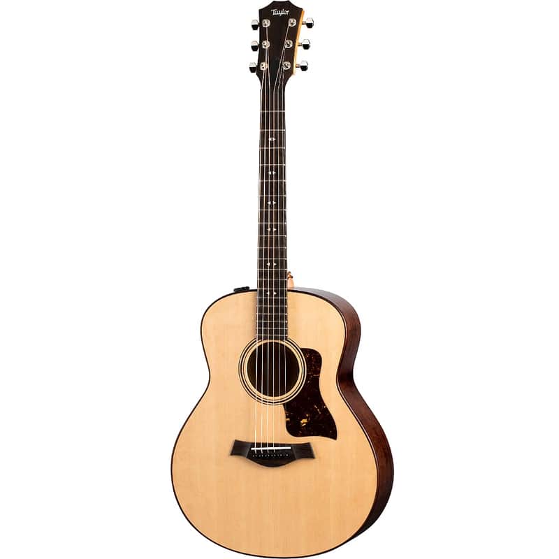 Taylor GTe Grand Theater Urban Ash image 1