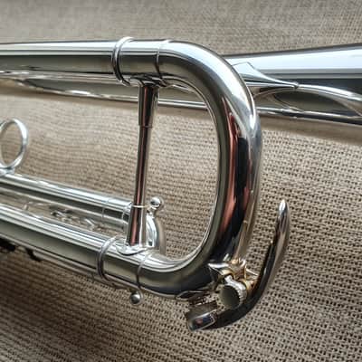 D. Calicchio DT-S1s/3M Dave TRIGG Model | Gamonbrass trumpet image 5