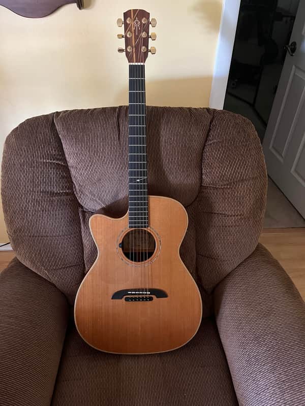 Alvarez Yairi WY-1 LE Mid 90’s - Cedar/Rosewood image 1