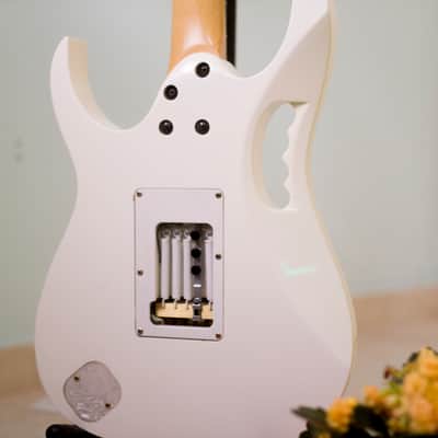 Custom Openback Backplate for Jem Guitars Bild 1
