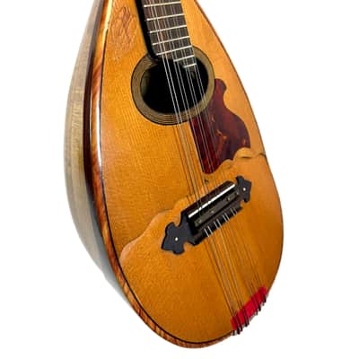 Gelas Type Double-Top ConcertMandolin (J. Rowies Label) 1927 image 4