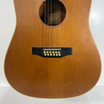ALVAREZ 5037 WILDWOOD (12-STRING) acoustic guitars