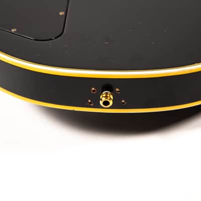 Gibson Les Paul Black Beauty 55' Re-issue Owned by Mike Campbell image 18