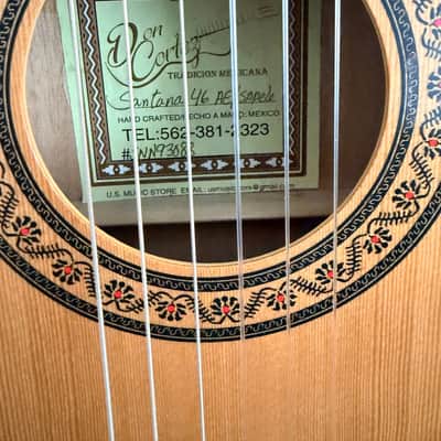 Don Cortez Santana Model 46 AE/Sapele Acoustic Electric Nylon String Cutaway Guitar wGB image 6