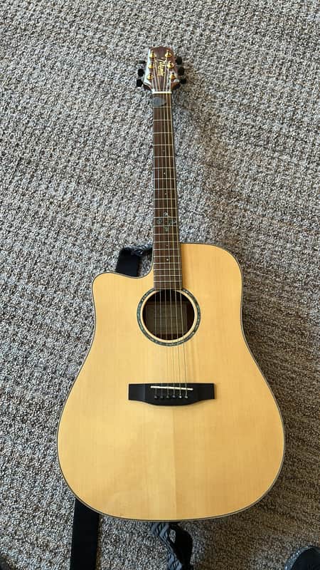 Takamine GS image 1