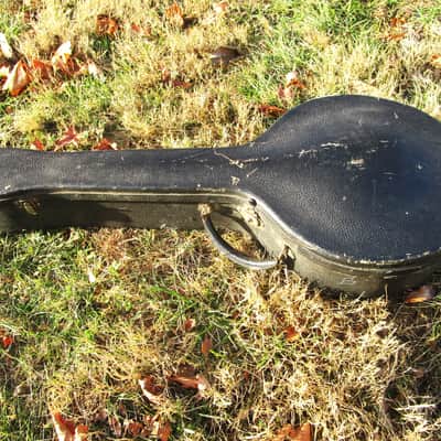 Tenor Banjo, 1920's, 17 Fret, Tone Ring, HSC image 2