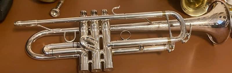 BAC series 2010  - Luxe silver plated finish image 1