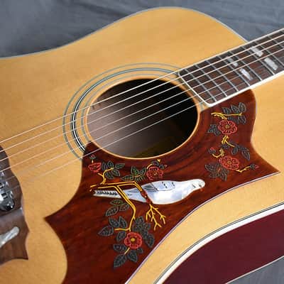 1977 Alvarez 5024 Dove image 25