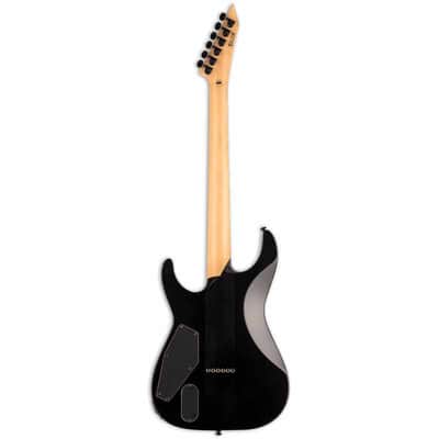 LTD M1000HTBPF-BLKFD M1000 Hipshot Fluence Burled Poplar Black Fade image 3