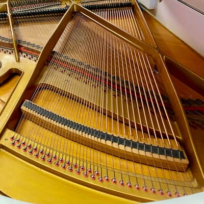 PETROF PIANOFORE A MEZZA CODA BIANCO image 8